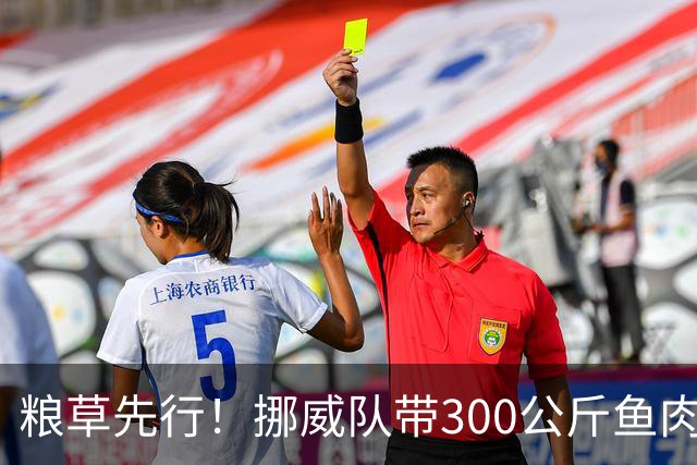 粮草先行！挪威队带300公斤鱼肉+116公斤奶酪赴美踢世界杯